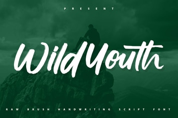Wildyouth | Brush Handwriting Script Font