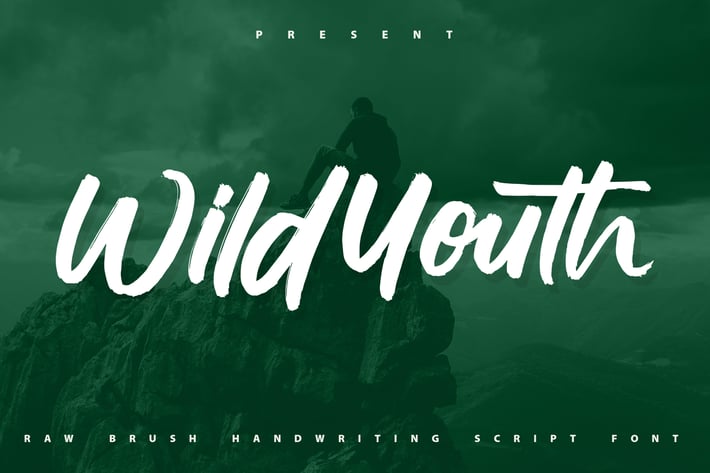 Wildyouth | Brush Handwriting Script Font