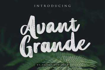 AMR Avant Grande