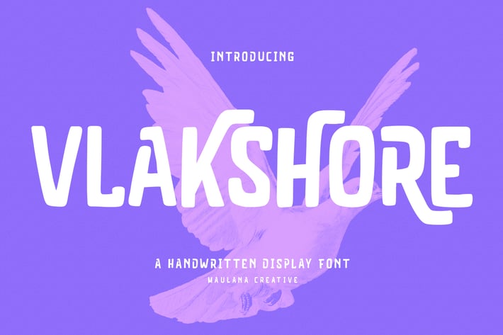 Vlakshore Decorative Display Font