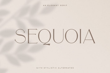 Sequoia Typeface