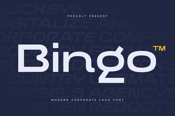 Bingo Logo Font