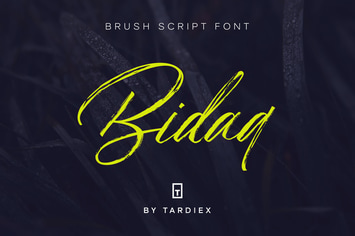 Bidaq Brush