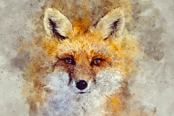 Aquarelle Photoshop Action