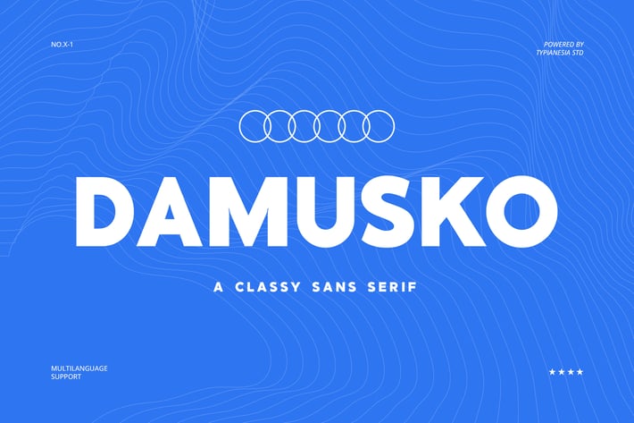 Damusko - Modern Classy Bold Sans Serif