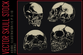 Vector Skull Stock