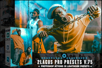 PRO Presets - V 75 - Photoshop & Lightroom