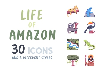 30 Life of Amazon icon set