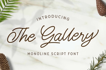  The Gallery - Monoline Script Font