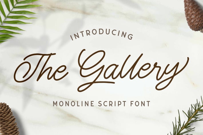  The Gallery - Monoline Script Font