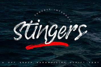 Stingers | Brush Handwriting Script Font