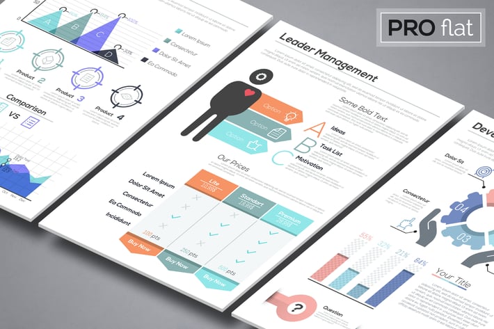 Pro Flat Infographic Brochures