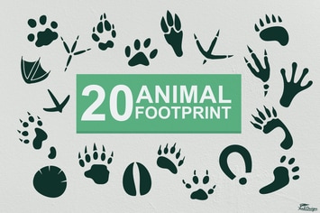 Animal Footprints Vector