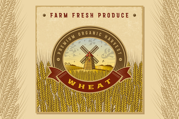 Vintage Colorful Wheat Harvest Label