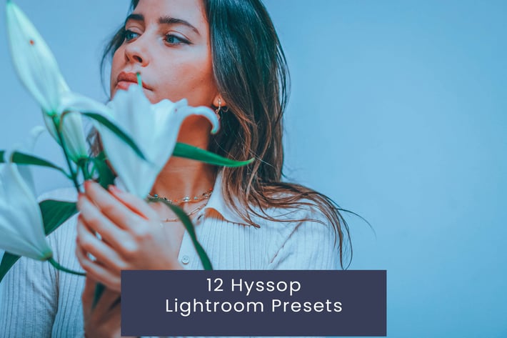 12 Hyssop Lightroom Presets