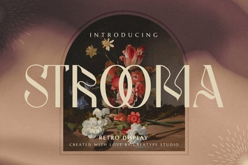 Strooma Retro Display