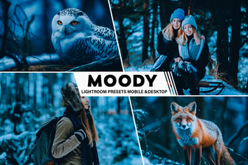 Lightroom Presets Mobile And Desktop