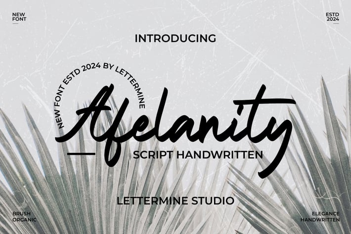 Afelanity - Script Handwritten