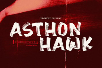 Asthon Hawk - Textured SVG Font TT