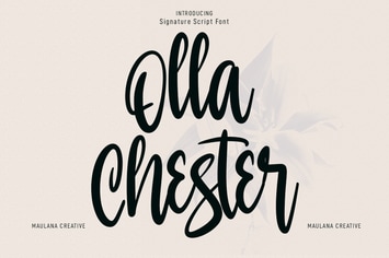 Olla Chester Script Font