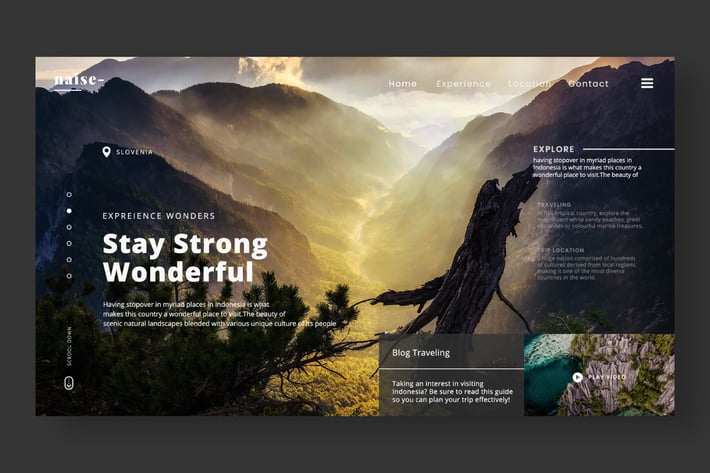 Naise Hero Web Header PSD / XD
