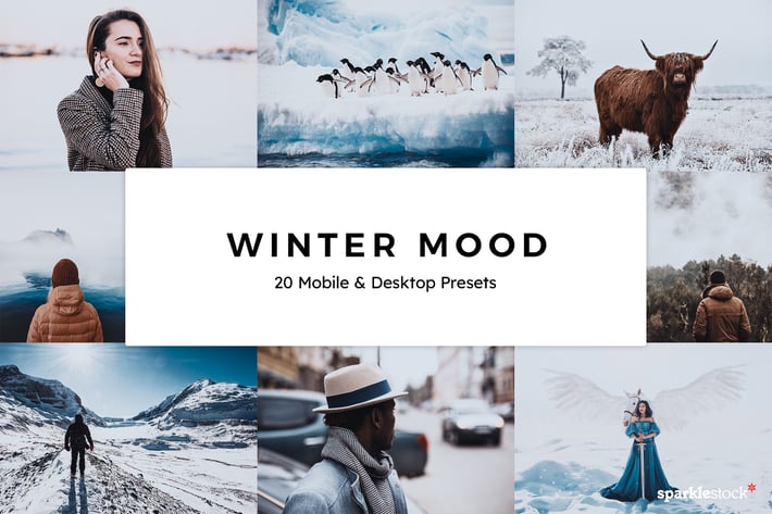 20 Winter Mood Lightroom Presets & LUTs