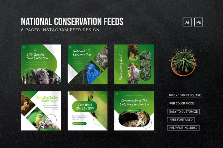 National Conservation - Instagram Feed