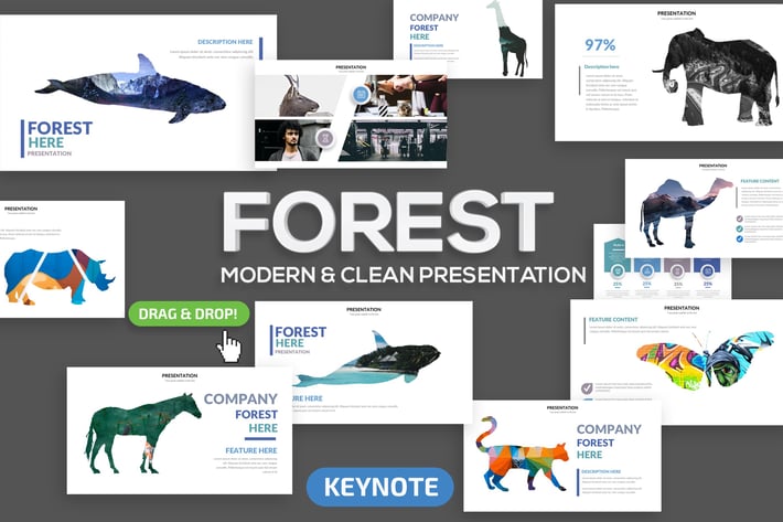 Forest Keynote Presentation