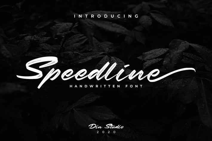 Speedline-Beautiful Brush Font