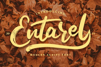 Entarel | Modern Script Font