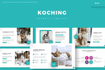 Koching - Keynote Template