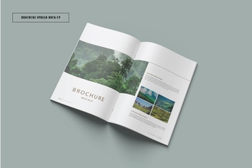 Brochure Spread Mockup