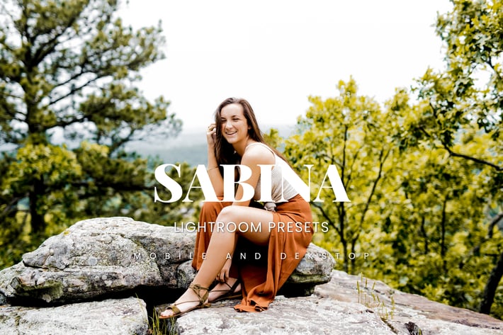 Sabina Lightroom Presets Dekstop and Mobile