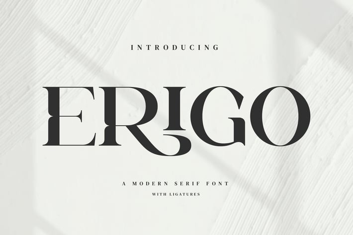 Erigo - Modern Ligature Font