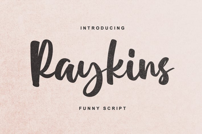 Raykins - Funny Script