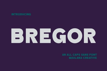 Bregor Sans Display Font