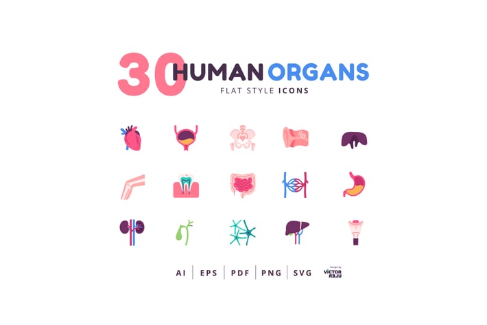30 Icons Human Organs Flat Style