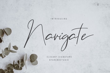 Navigate Elegant Signature