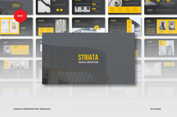 Striata Presentation Template