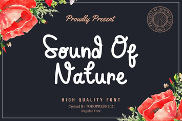 Sound of Nature - Cute Fancy font