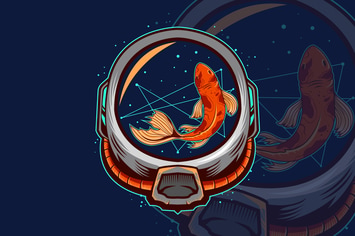 Astrohead With Koi Fish