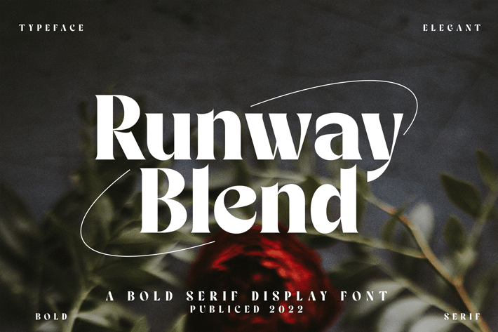 Elegant Bold Serif Display Font