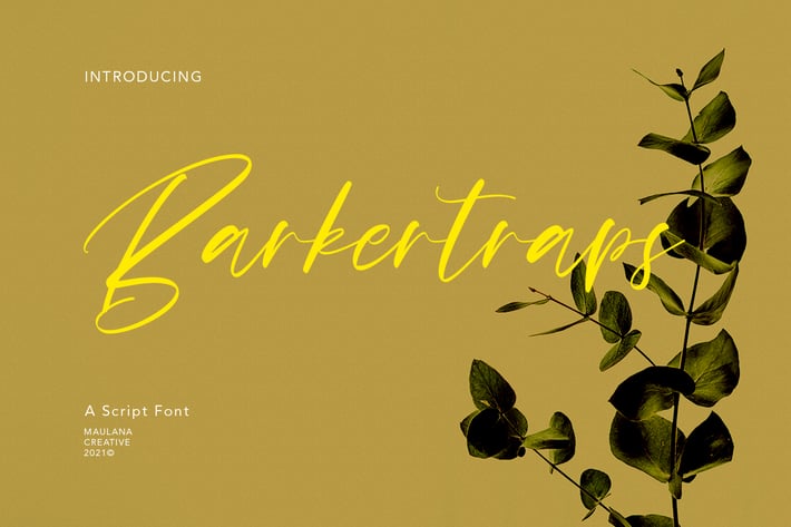 Barkertraps Script Font