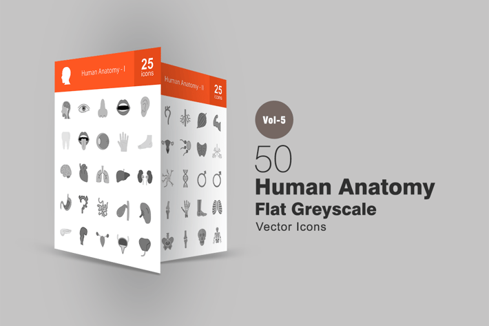 50 Human Anatomy Greyscale Icons