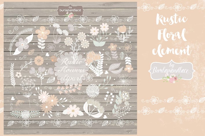 Vector floral clip arts