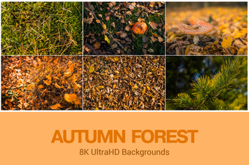 8K Autumn Theme Backgrounds Set