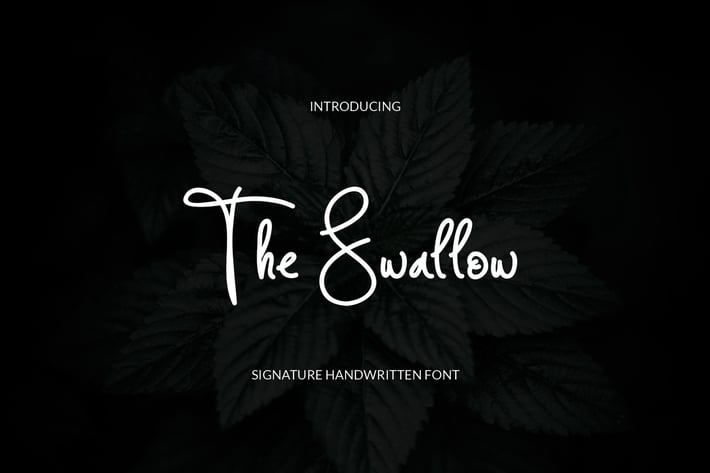 The Swallow