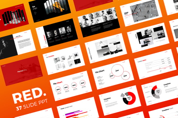 Consulting Brand Presentation