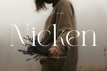 Nicken Modern Ligature Serif