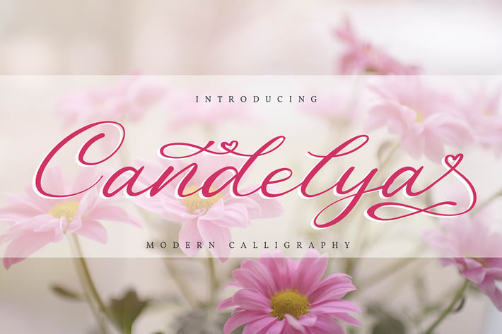 Candelya | Modern Calligraphy